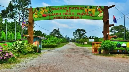 desaru farm tour